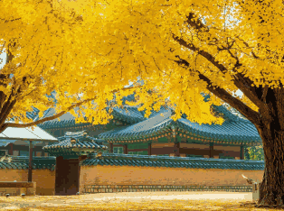 韩国外贸数据,外贸数据,EVO视讯官网外贸数据 韩国外贸数据,外贸数据,EVO视讯官网外贸数据